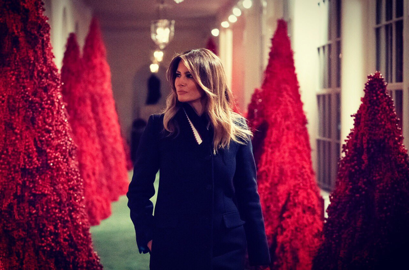 Illustration for article titled A Man Coughed Up Melania's Christmas Tree